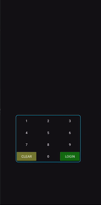 6. Dynamic pinpad shifted